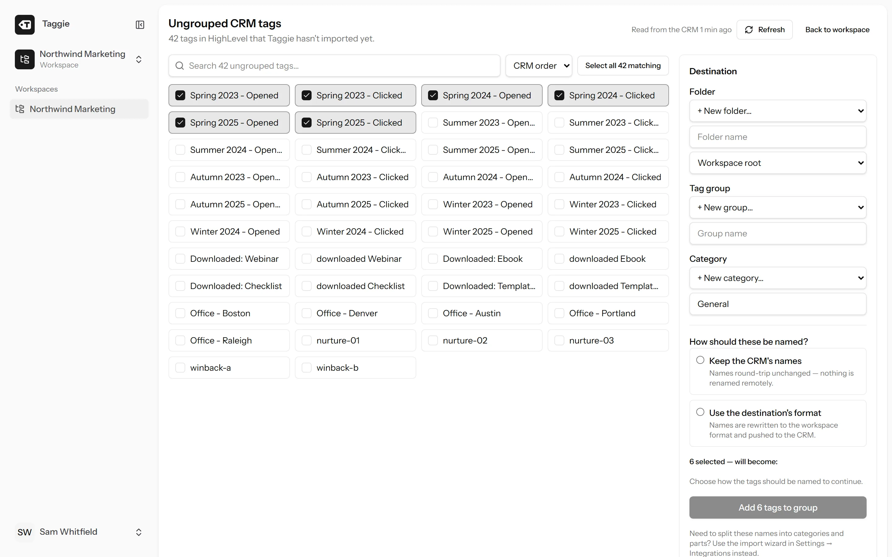 Taggie ungrouped tags workbench with searchable CRM tags, bulk selection and naming choices